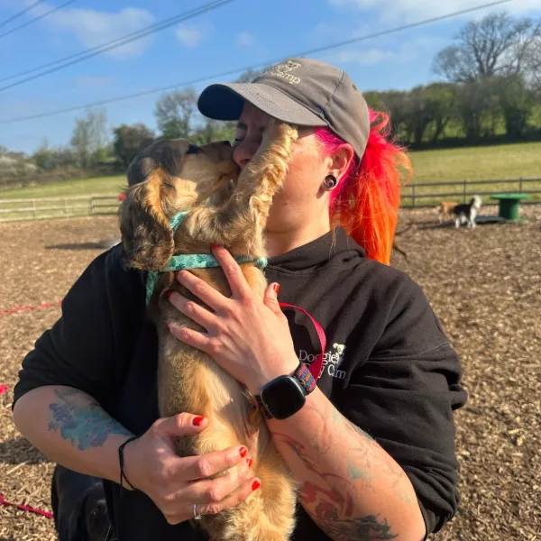Dog receiving affection from a team member