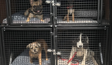 Inside our van..