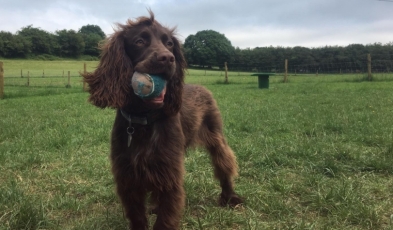 Ralph & his ball