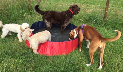 Paddling pool fun!